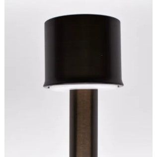 Lumien Brass Path Light Module with 18" Riser, 4W, 230 Lumens, 2700K, Adjustable Beam Spread, Antique Finish - w/ LAP-002