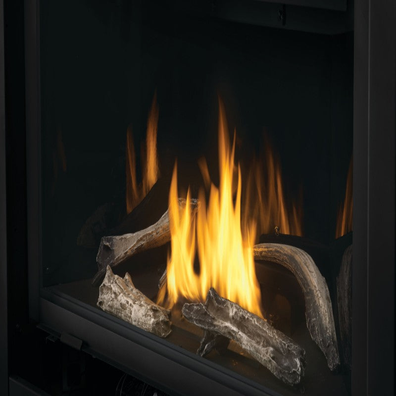 Napoleon Ascent Multi View See Thru Direct Vent Gas Fireplace | BHD4