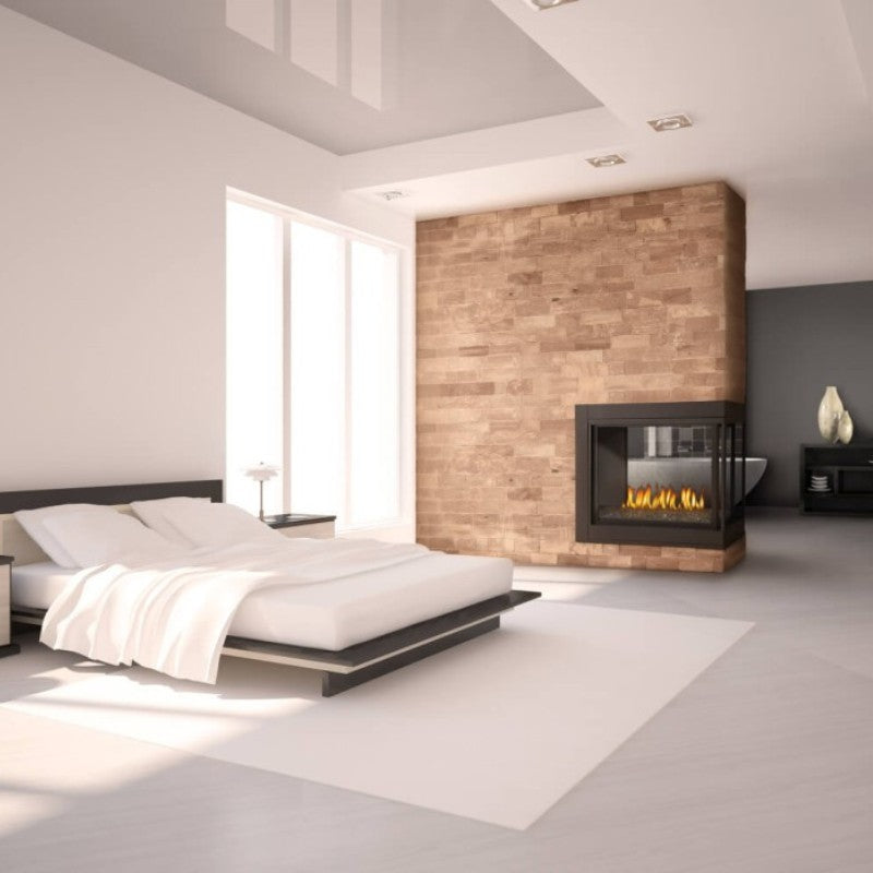 Napoleon Ascent Multi View See Thru Direct Vent Gas Fireplace | BHD4