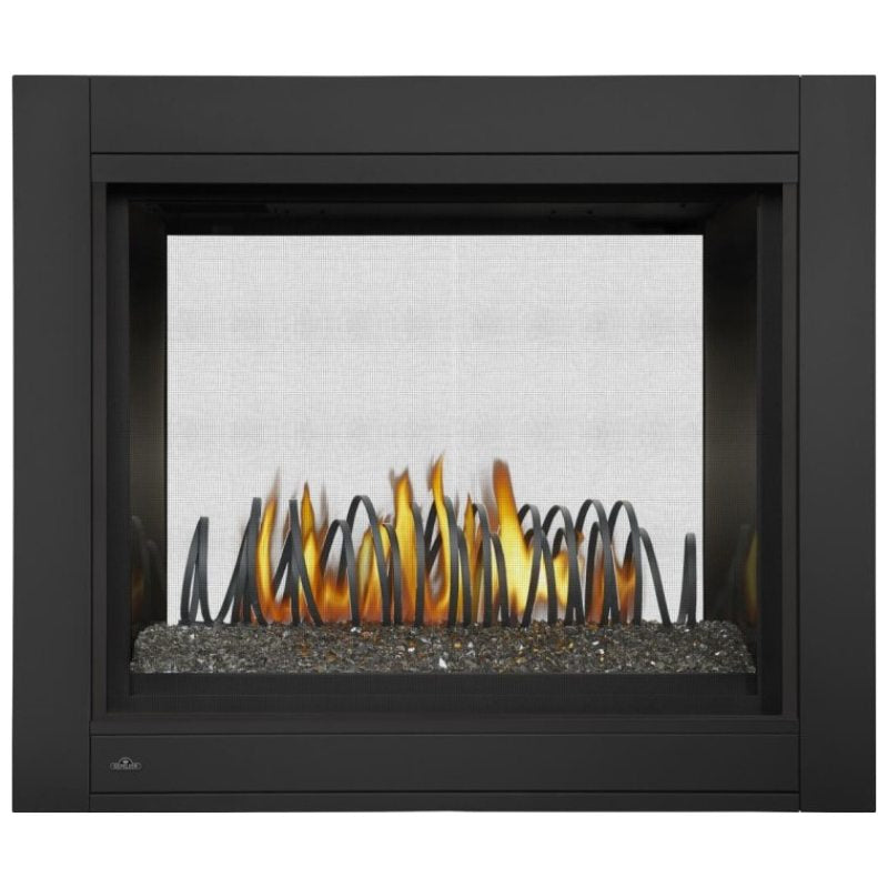 Napoleon Ascent Multi View See Thru Direct Vent Gas Fireplace | BHD4