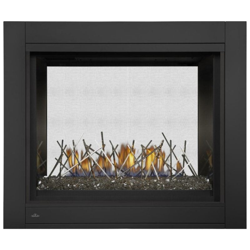 Napoleon Ascent Multi View See Thru Direct Vent Gas Fireplace | BHD4