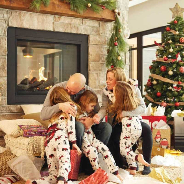 Napoleon Ascent Multi View See Thru Direct Vent Gas Fireplace | BHD4