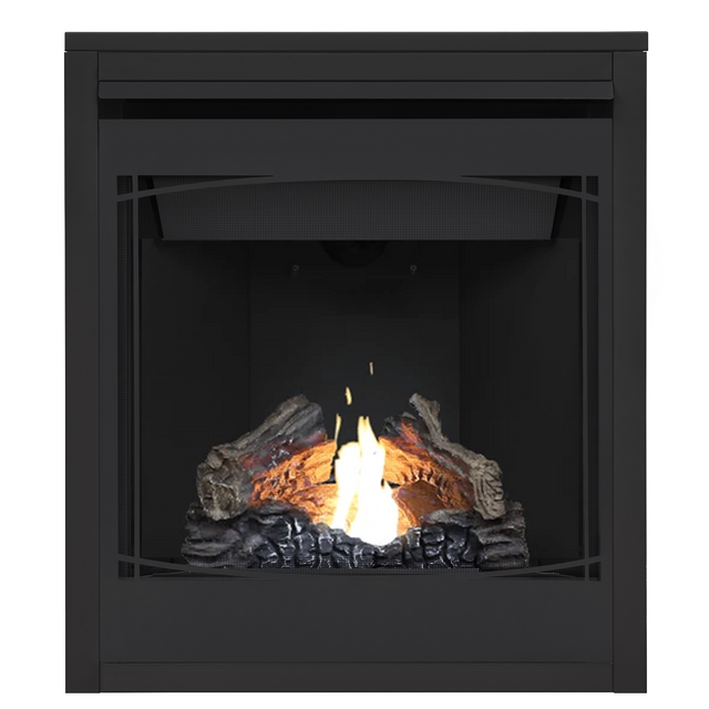 Napoleon Ascent 30 with Zen decorative front