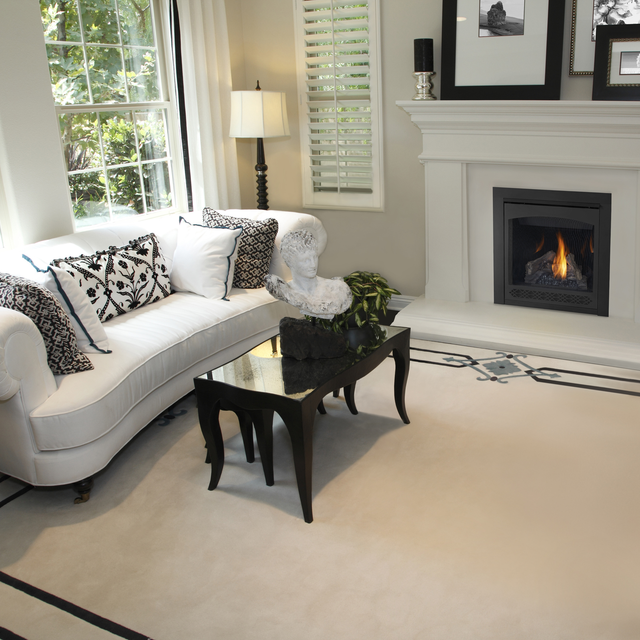 Napoleon Ascent 30 direct vent gas fireplace