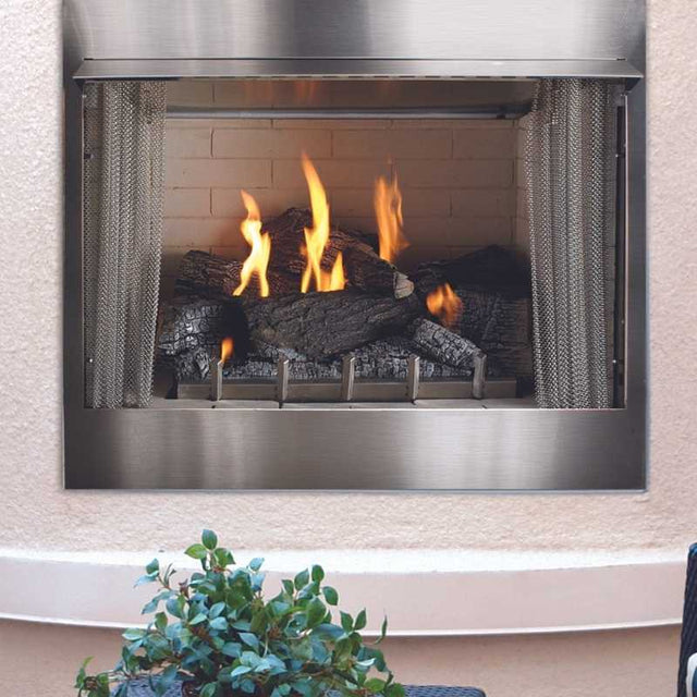 Carol Rose 36" Vent-Free Premium Outdoor Stainless Steel Gas Fireplace