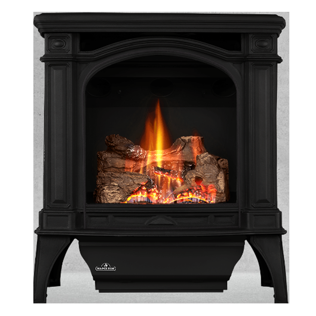 Napoleon Bayfield GDS25 gas stove - metallic black