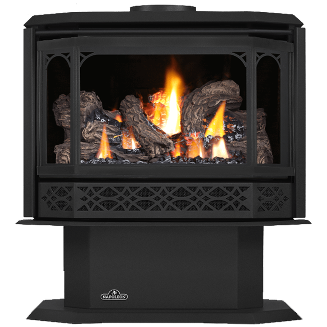 Napoleon Havelock GDS50 gas stove - metallic black door