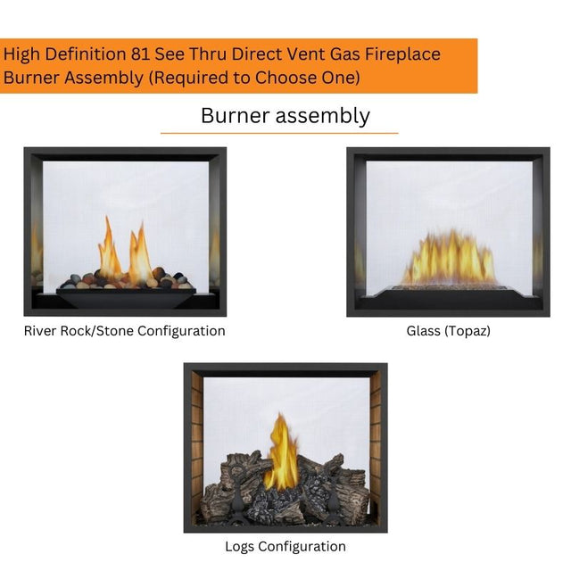 Napoleon High Definition 81 See Thru Direct Vent Gas Fireplace | HD81NT-1