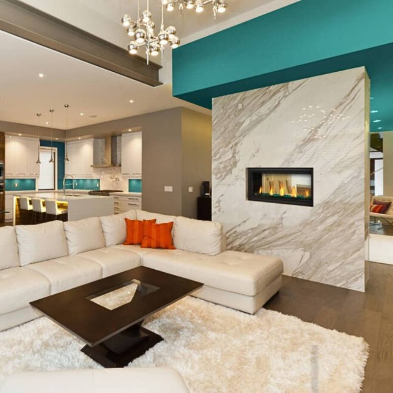 Napoleon Vector 38" See Thru Linear Direct Vent Gas Fireplace | LV38N2