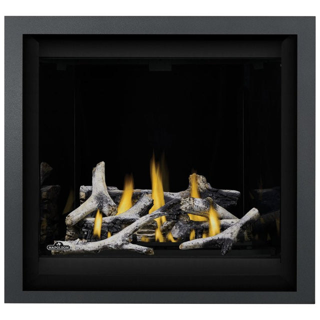 Napoleon Altitude X 36" Direct Vent Fireplace | AX36-1