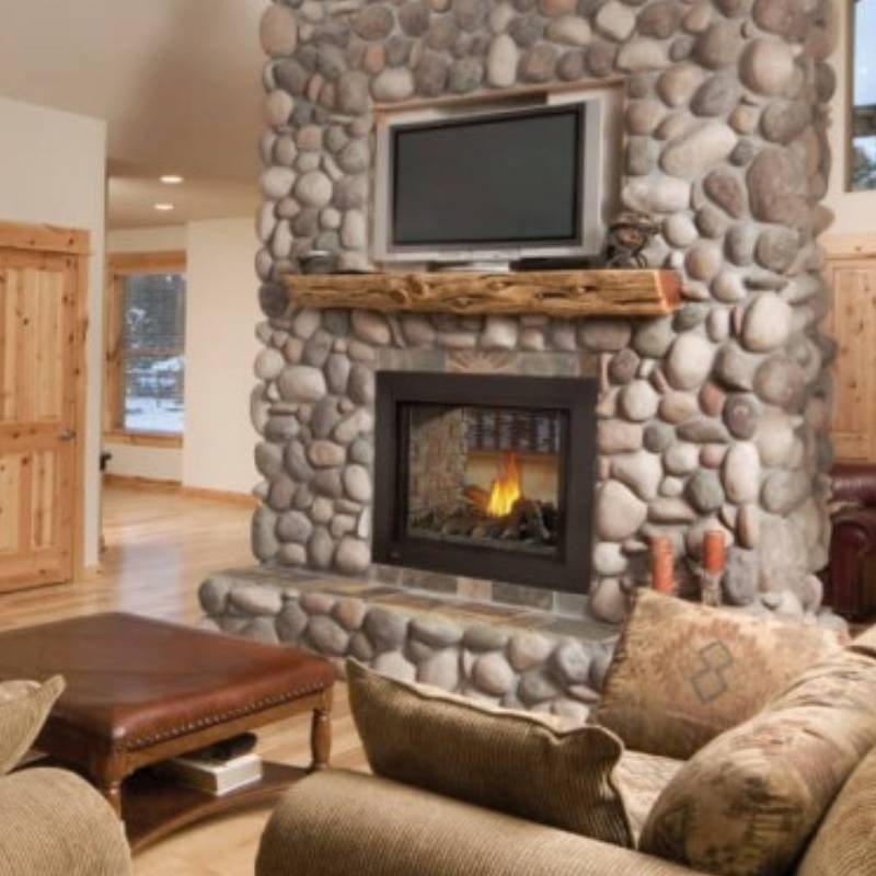 Napoleon Ascent Multi View See Thru Direct Vent Gas Fireplace | BHD4