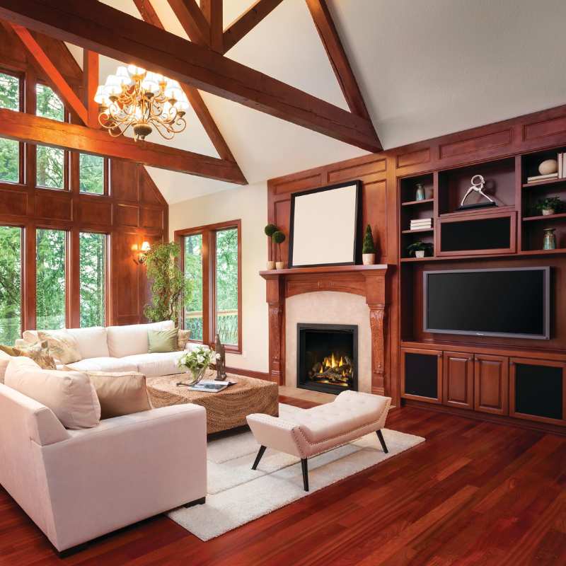 Napoleon Elevation X 42" Direct Vent Fireplace | EX42