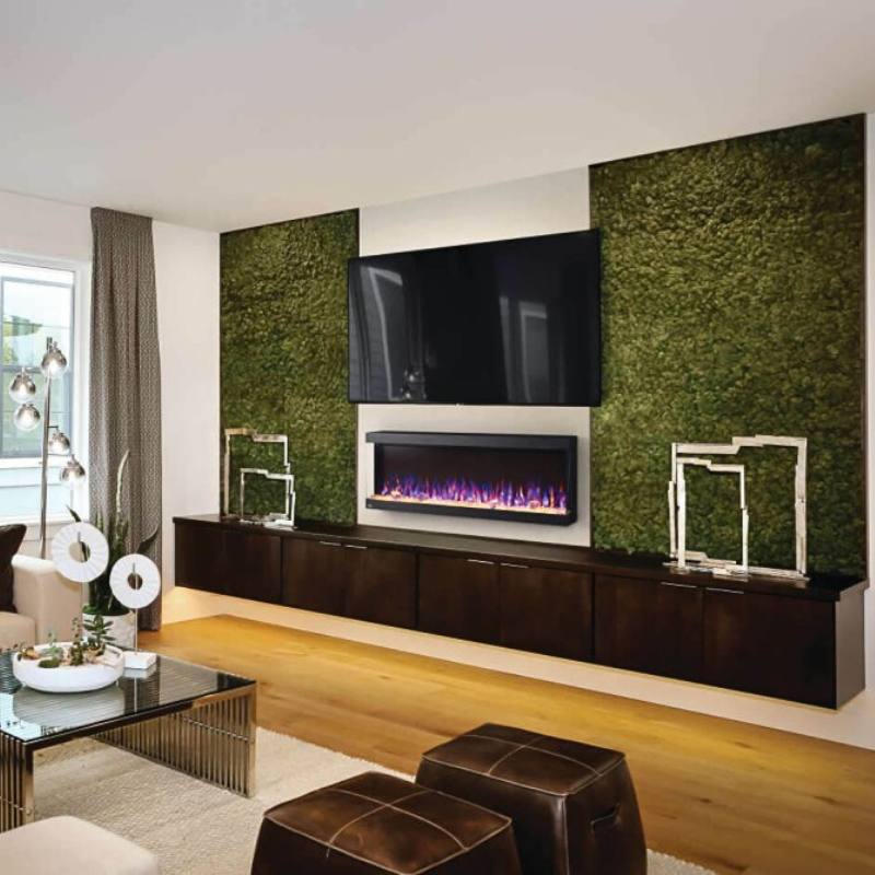 Napoleon Trivista Pictora 50" Wall Mount Electric Fireplace | NEFL50H-3SV