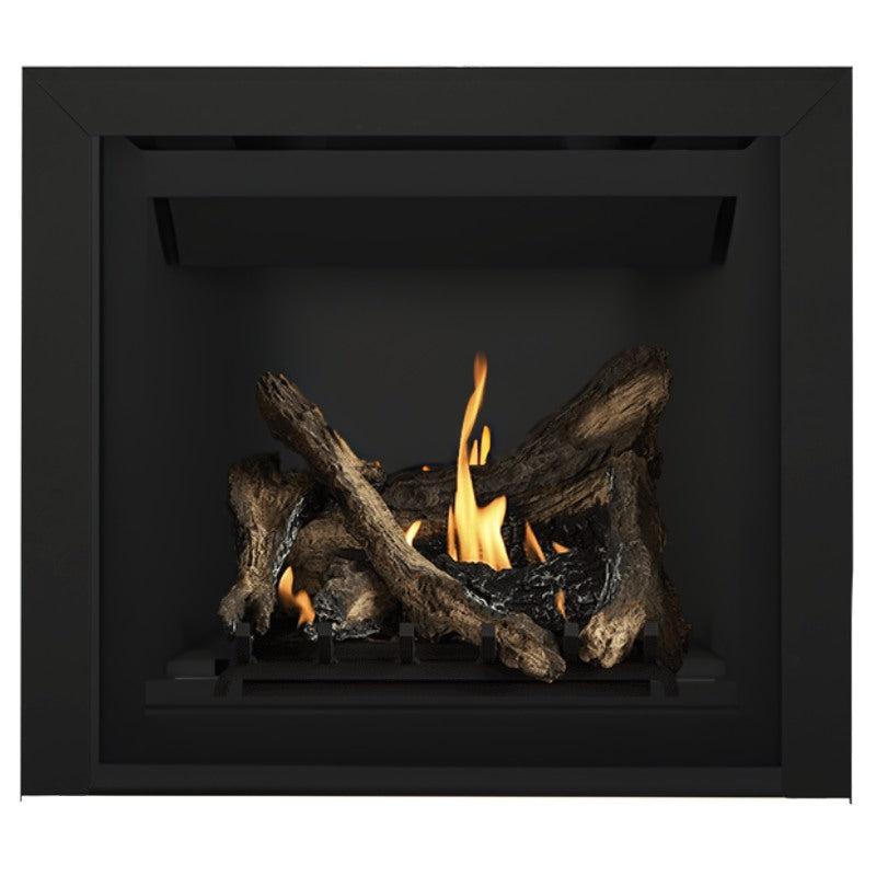 Napoleon Altitude 36" Direct Vent Fireplace | A36