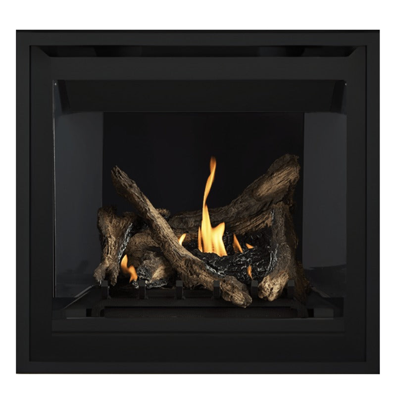 Napoleon Altitude 36" Direct Vent Fireplace | A36
