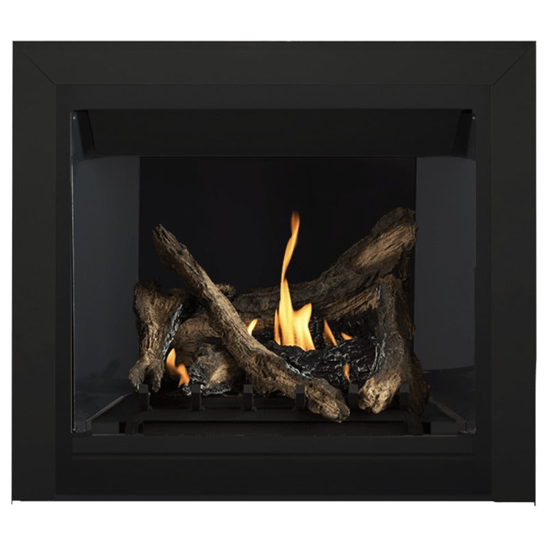 Napoleon Altitude 36" Direct Vent Fireplace | A36