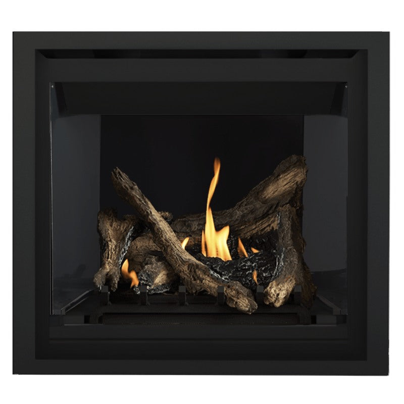 Napoleon Altitude 36" Direct Vent Fireplace | A36