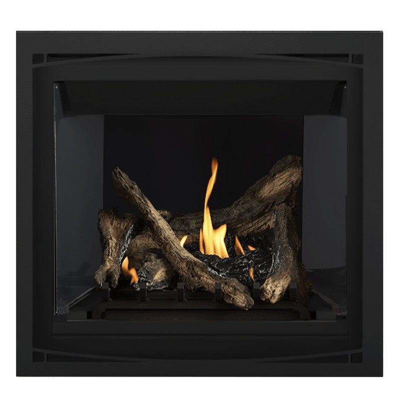 Napoleon Altitude 36" Direct Vent Fireplace | A36