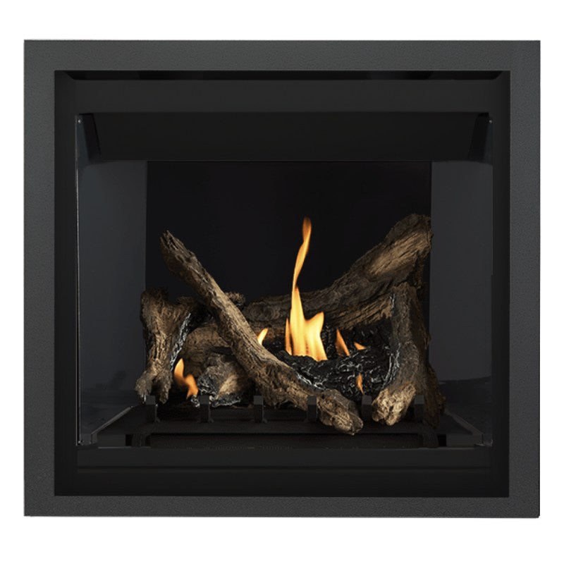 Napoleon Altitude 36" Direct Vent Fireplace | A36