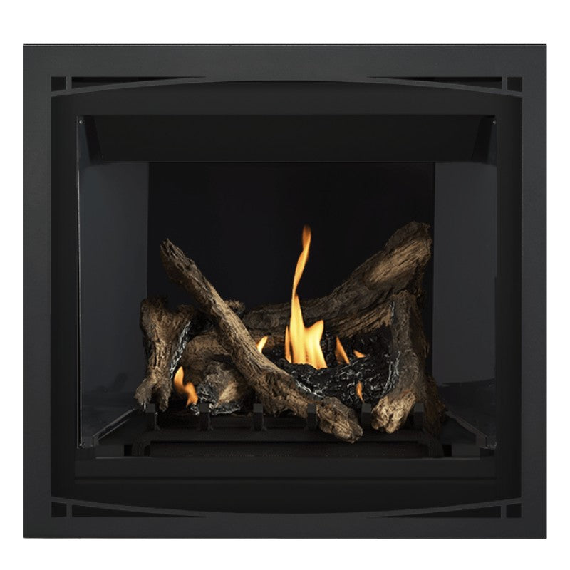 Napoleon Altitude 36" Direct Vent Fireplace | A36