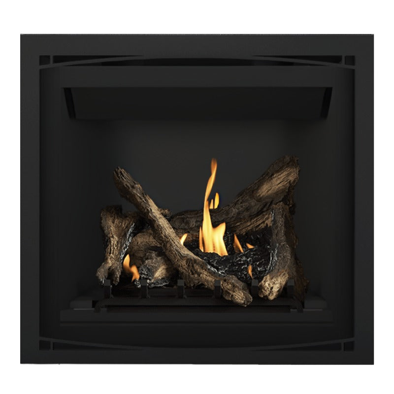 Napoleon Altitude 36" Direct Vent Fireplace | A36