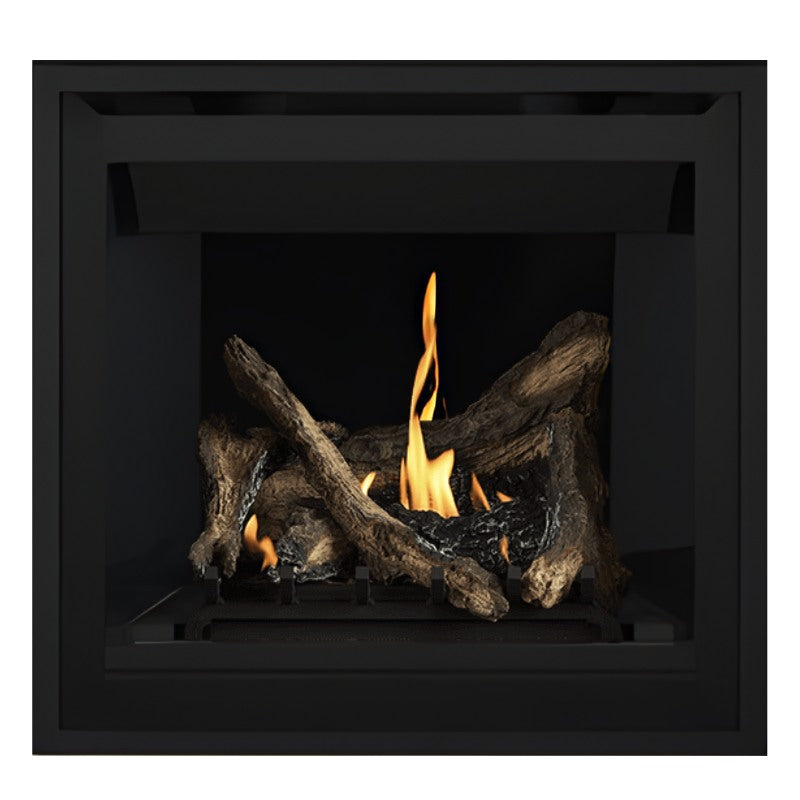 Napoleon Altitude 36" Direct Vent Fireplace | A36