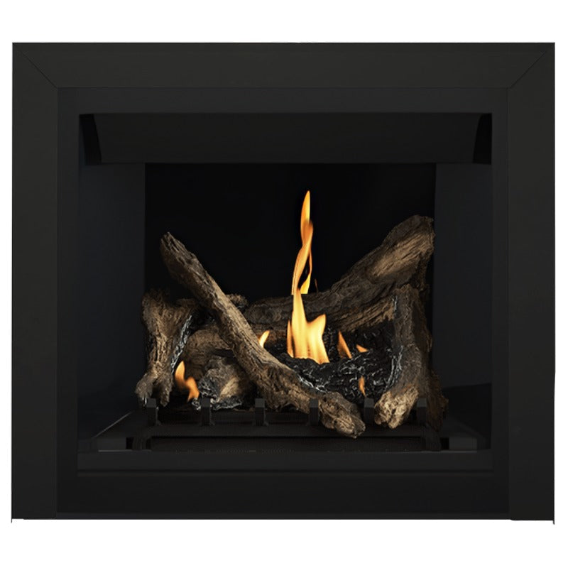 Napoleon Altitude 36" Direct Vent Fireplace | A36