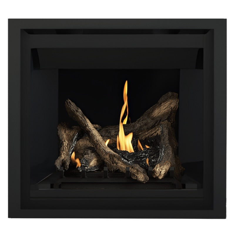 Napoleon Altitude 36" Direct Vent Fireplace | A36