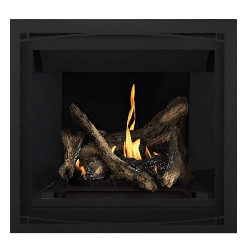 Napoleon Altitude 36" Direct Vent Fireplace | A36