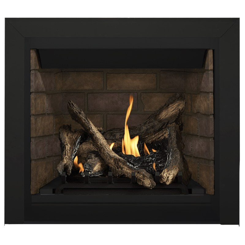 Napoleon Altitude 36" Direct Vent Fireplace | A36