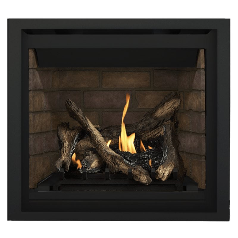 Napoleon Altitude 36" Direct Vent Fireplace | A36