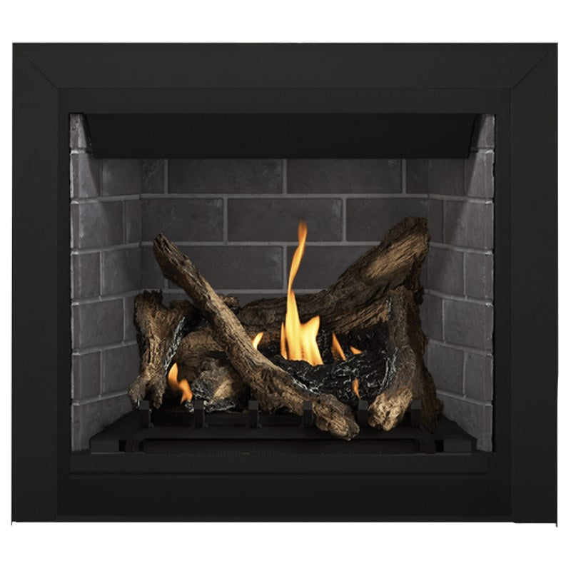 Napoleon Altitude 36" Direct Vent Fireplace | A36