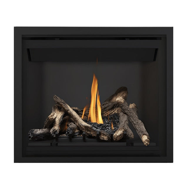 Napoleon Altitude 42" Direct Vent Fireplace | A42