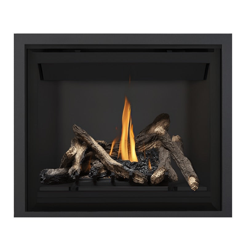 Napoleon Altitude 42" Direct Vent Fireplace | A42