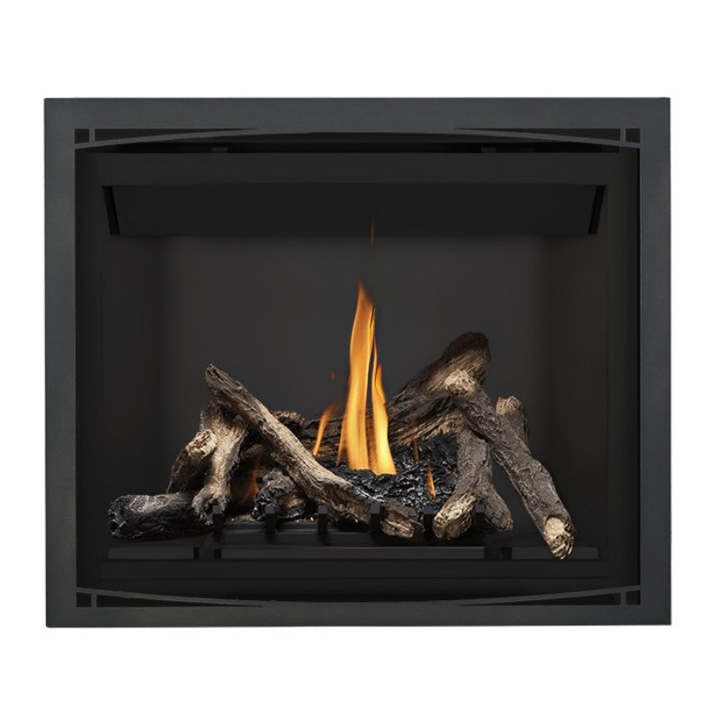 Napoleon Altitude 42" Direct Vent Fireplace | A42