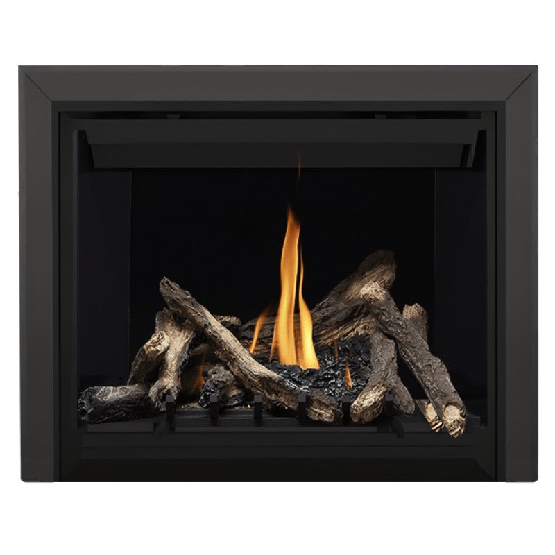 Napoleon Altitude 42" Direct Vent Fireplace | A42