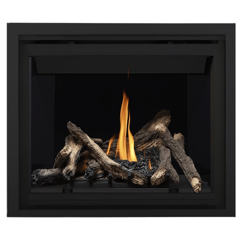 Napoleon Altitude 42" Direct Vent Fireplace | A42