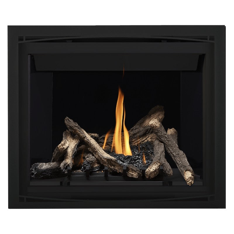 Napoleon Altitude 42" Direct Vent Fireplace | A42