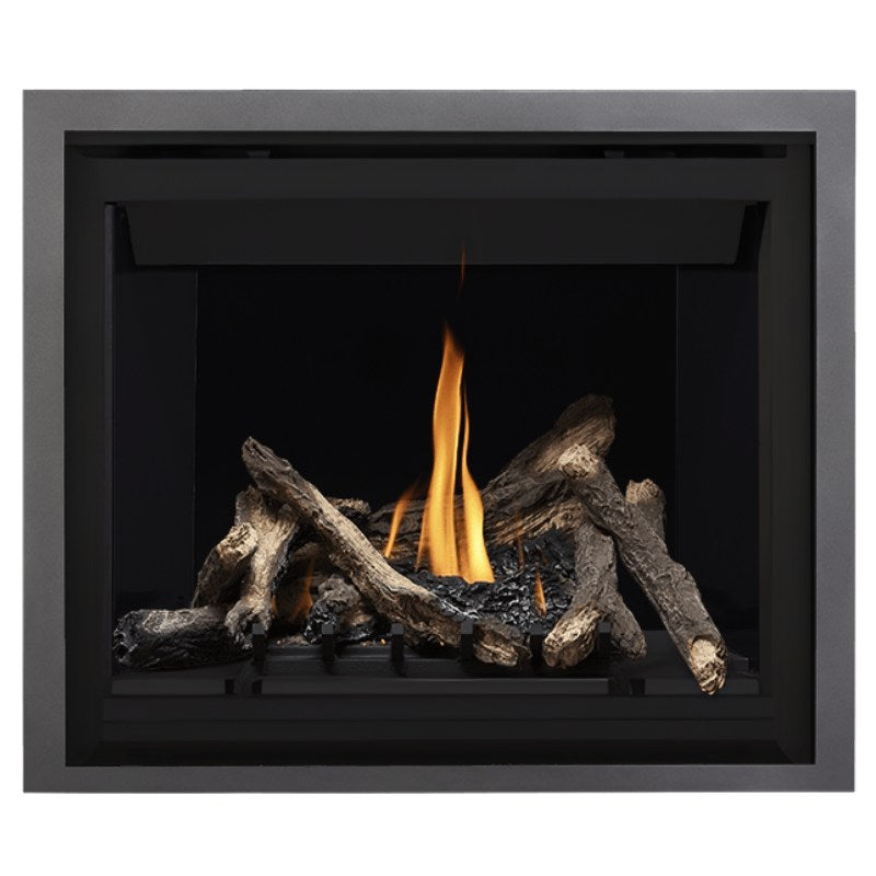 Napoleon Altitude 42" Direct Vent Fireplace | A42