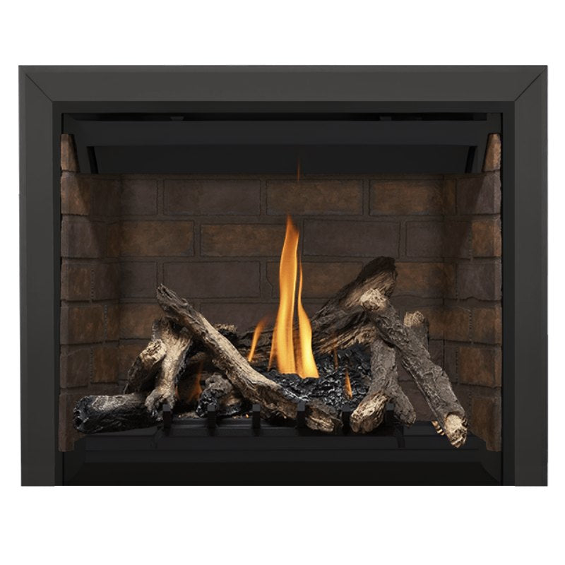 Napoleon Altitude 42" Direct Vent Fireplace | A42