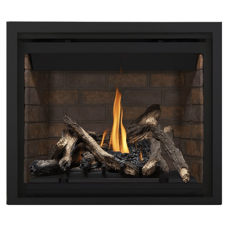 Napoleon Altitude 42" Direct Vent Fireplace | A42