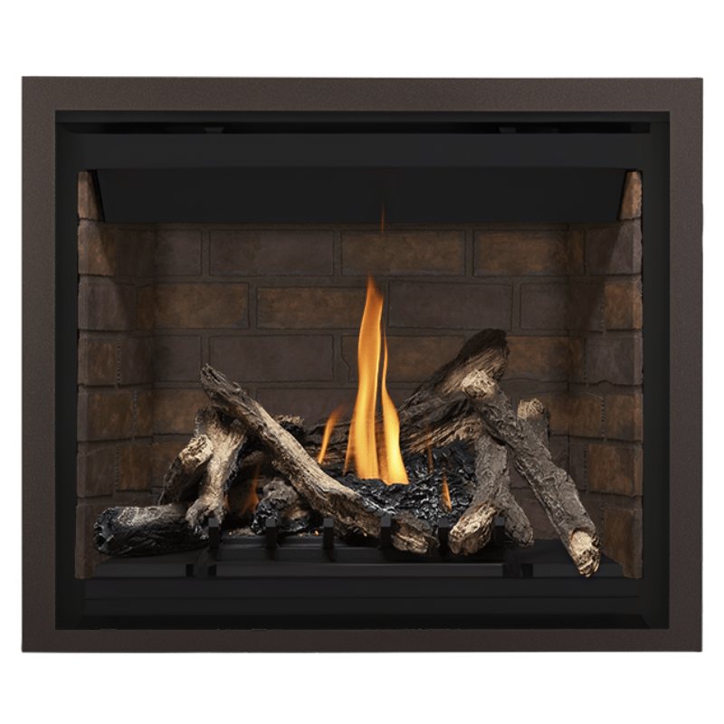 Napoleon Altitude 42" Direct Vent Fireplace | A42