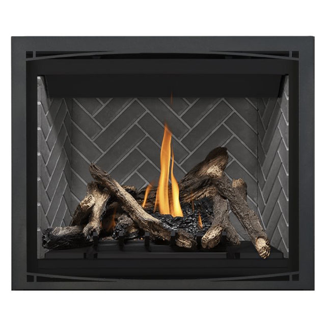Napoleon Altitude 42" Direct Vent Fireplace | A42