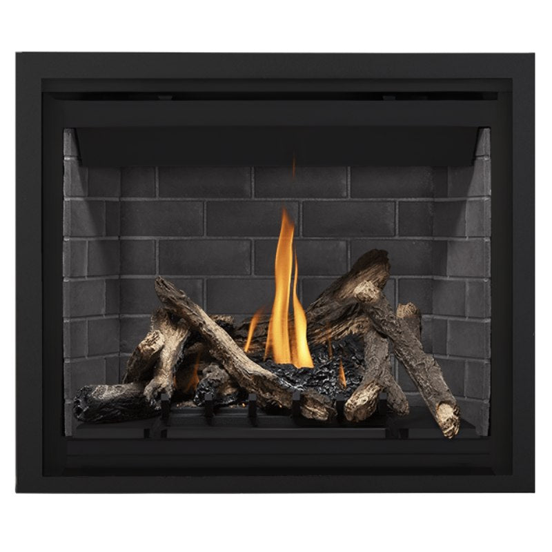 Napoleon Altitude 42" Direct Vent Fireplace | A42