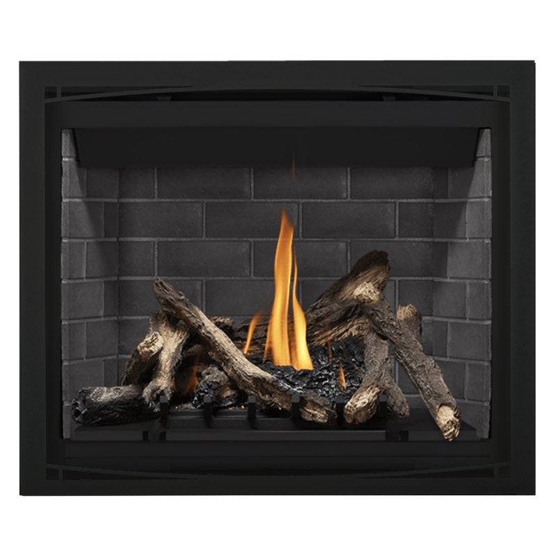 Napoleon Altitude 42" Direct Vent Fireplace | A42