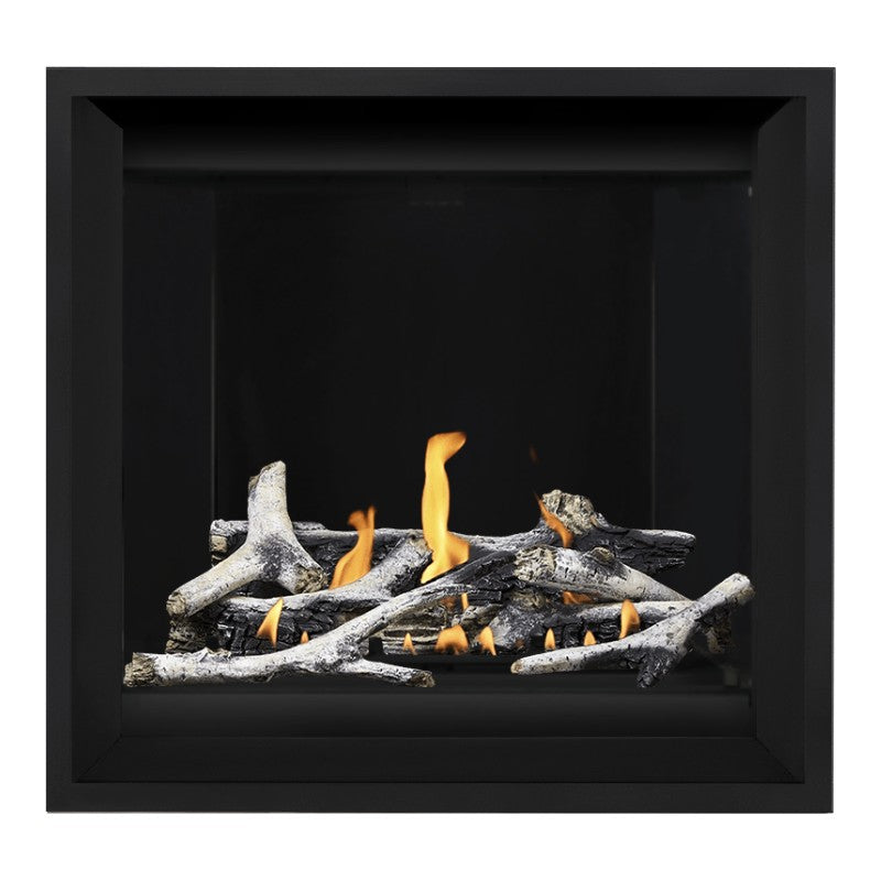 Napoleon Altitude X 36" Direct Vent Fireplace | AX36-1