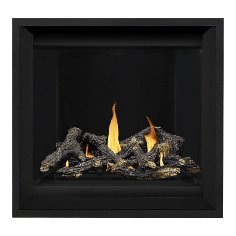 Napoleon Altitude X 36" Direct Vent Fireplace | AX36-1