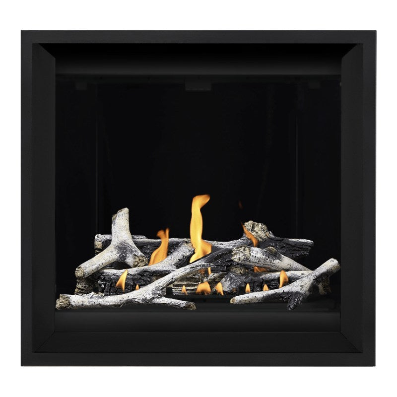 Napoleon Altitude X 36" Direct Vent Fireplace | AX36-1