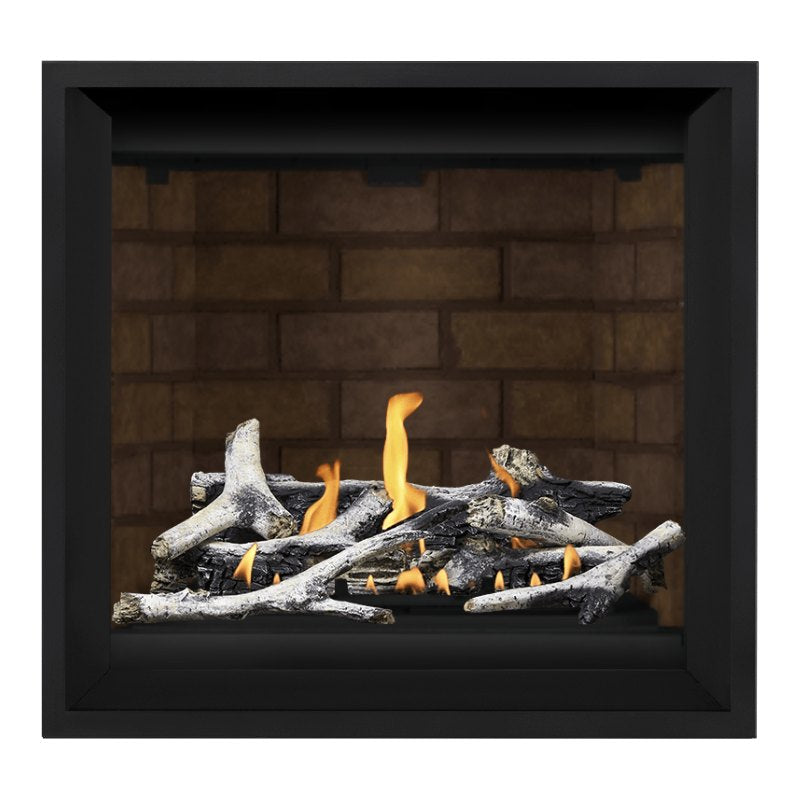 Napoleon Altitude X 36" Direct Vent Fireplace | AX36-1
