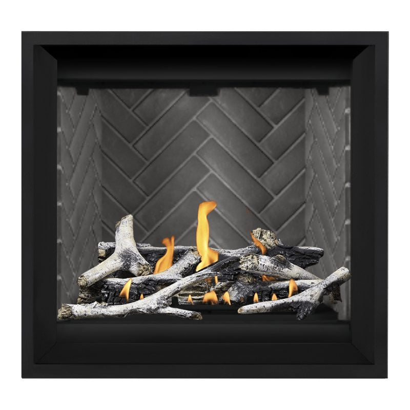 Napoleon Altitude X 36" Direct Vent Fireplace | AX36-1